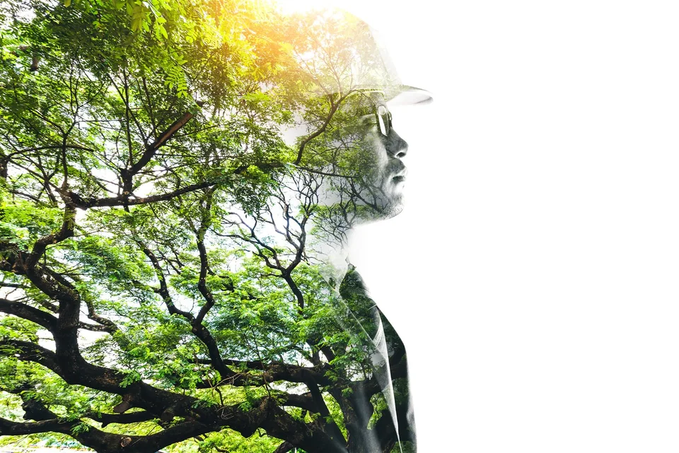 Profilo di un tecnico con casco sovrapposto a una foresta, simbolo del legame tra persone e ambiente